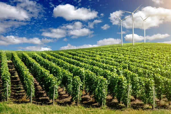 Turbinas de aerogeneradores en el paisaje de verano —  Fotos de Stock