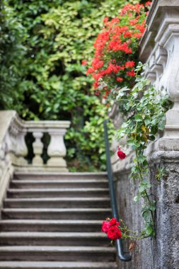 çiçekler Villa carlotta como Gölü üzerinde