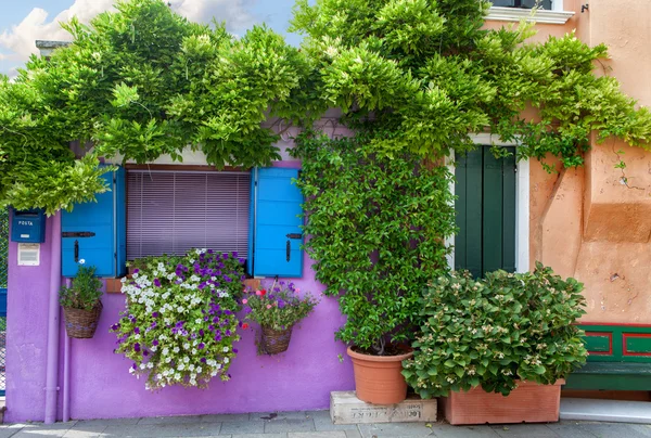 Color house on Burano island near Venice , Italy — Stock Photo, Image