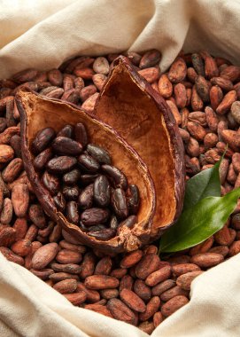 İçi soyulmamış kakao çekirdeği dolu kabuklu kakao kabuklarının üstünden.