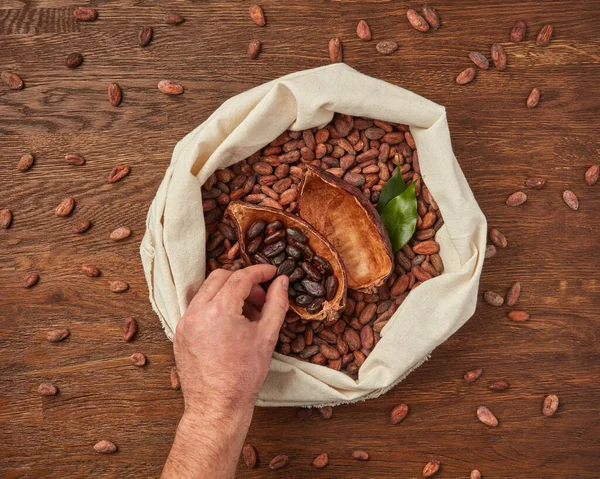 从上面的作物雄性手从木桌上的一袋新鲜的锡奥布罗马豆中取出剥皮的生可可豆 — 图库照片