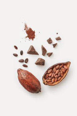 Top view of organic natural cocoa pod with unpeeled beans composed with cocoa powder pile and chocolate chunks on white background clipart