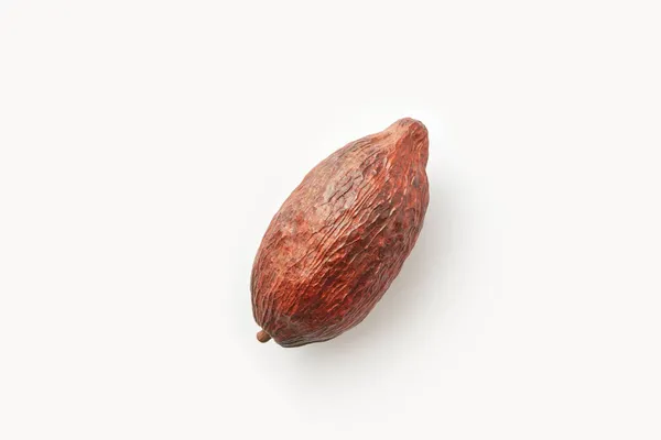 Single Whole Raw Pod Theobroma Cacao Tree White Background — Stock Photo, Image