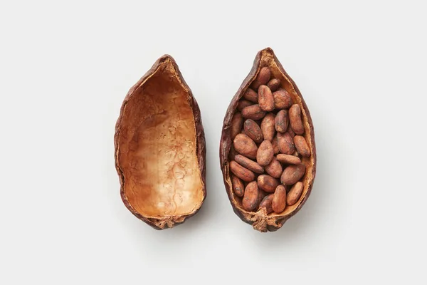 Vista Superior Vaina Natural Theobroma Cacao Árbol Mitades Llenas Frijoles — Foto de Stock