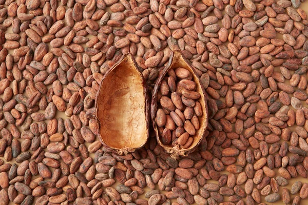 Bovenaanzicht Van Helften Cacaopod Gevuld Met Rauwe Bonen Niet Gepeld — Stockfoto