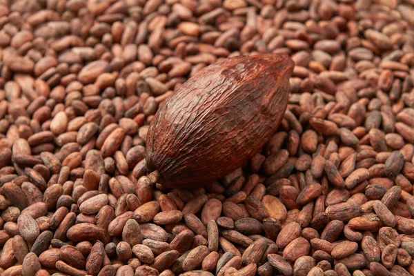 Vorm Van Hele Biologische Cacaopod Een Bos Ongepelde Rauwe Bonen — Stockfoto