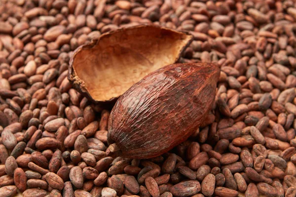 Hoge Hoek Van Gehalveerde Schelp Hele Peul Theobroma Cacaoboom Niet — Stockfoto