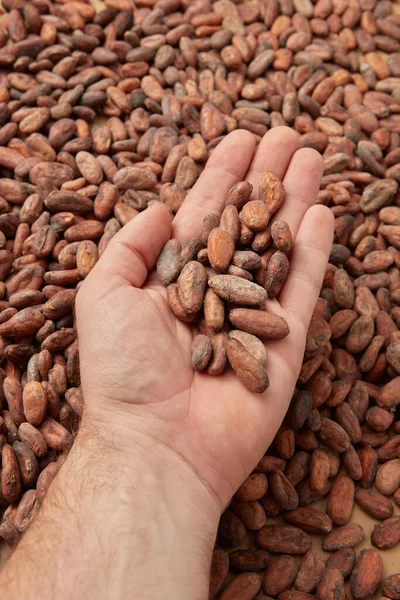 Cima Homem Sem Rosto Demonstrando Punhado Grãos Orgânicos Não Descascados — Fotografia de Stock