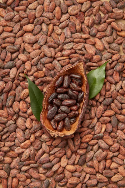 Bovenaanzicht Van Helft Van Cacaoboom Pod Gevuld Met Geschilde Aromatische — Stockfoto