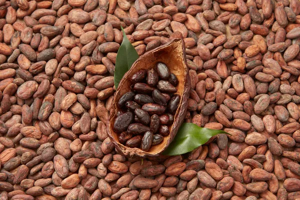 Bovenaanzicht Van Geschilde Verse Cacaobonen Geplaatst Helft Van Theobroma Cacaoboom — Stockfoto