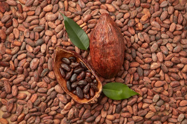 Vue Dessus Des Fruits Tropicaux Cacaoyer Theobroma Déposés Avec Des — Photo