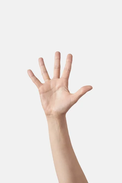 指の内側のヤシの数は 白い背景に隔離された突き出た5 5本目の指で垂直方向の位置に男性の手 1本から5本の指の概念を数える — ストック写真
