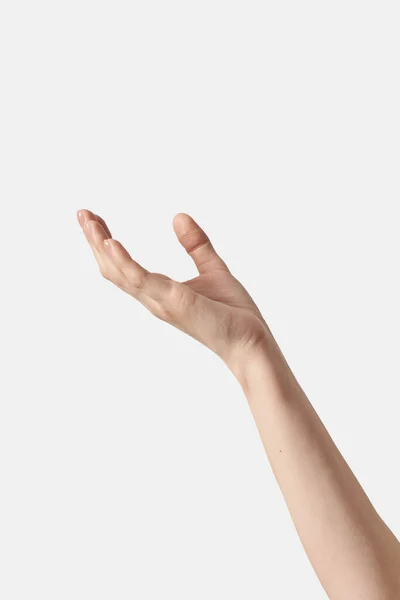 Woman Hand Open Palm Reaching Gesturing Holding Something Isolated White — Stock Photo, Image