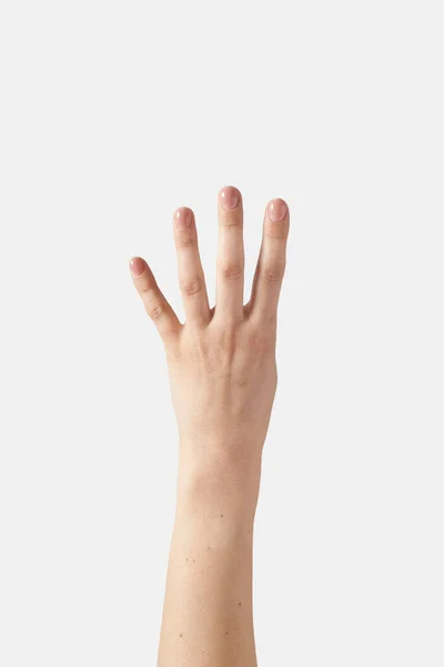 Numeric Count Fingers Female Outer Hand Wrist Vertical Position One — Stock Photo, Image