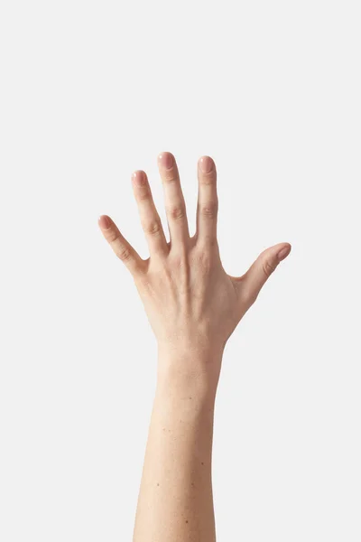 Contagem Numérica Dedos Mão Externa Feminina Com Pulso Posição Vertical — Fotografia de Stock