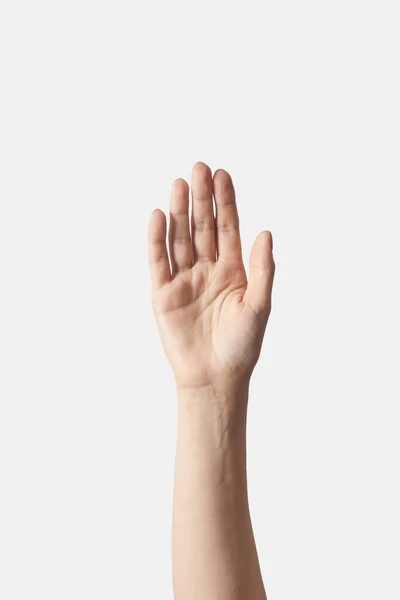 女性の手のひらを開き 白い背景に隔離された完璧な肌の垂直位置を持つ手のひらを物乞い — ストック写真