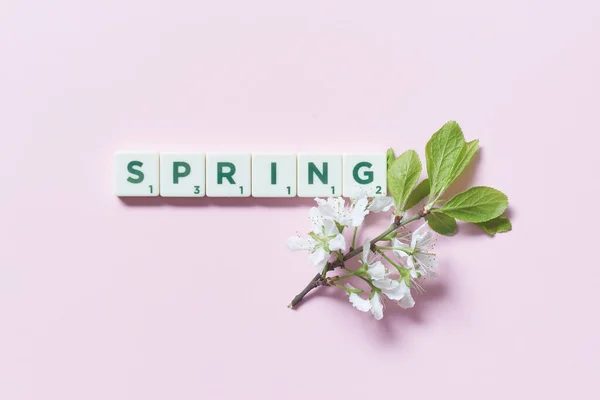 Wiosenne Słowo Utworzone Płytek Scrabble Świeżymi Kwiatami Drzewa Różowym Tle — Zdjęcie stockowe