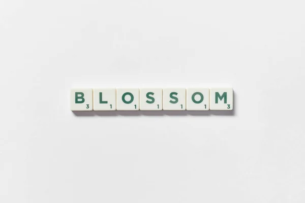 Blossom Λέξη Που Σχηματίζεται Από Πλακάκια Scrabble Λευκό Φόντο Πρωτότυπο — Φωτογραφία Αρχείου