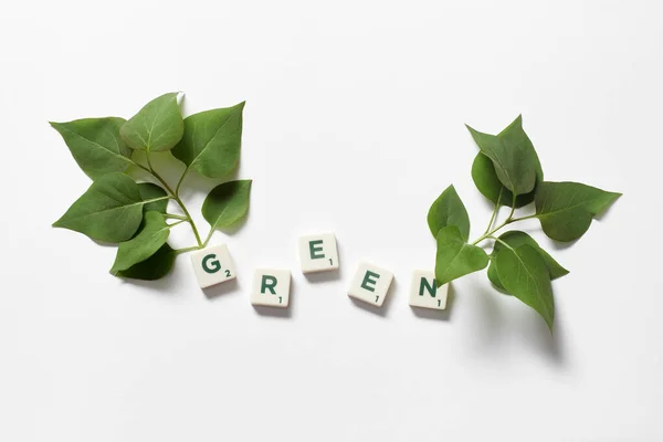 Zelené Slovo Vytvořené Scrabble Dlaždic Čerstvými Větvemi Stromů Bílém Pozadí — Stock fotografie