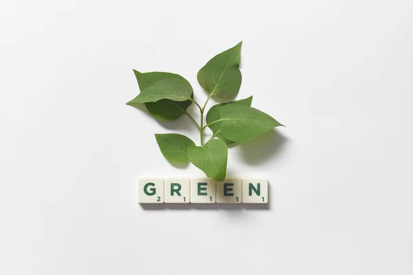 Zelené Slovo Vytvořené Scrabble Dlaždic Listy Stromů Bílém Pozadí Koncept — Stock fotografie