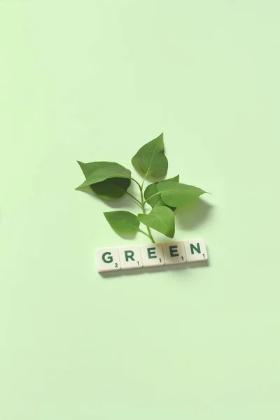 Green Word Formed Scrabble Tiles Fresh Tree Leaves Light Green —  Fotos de Stock