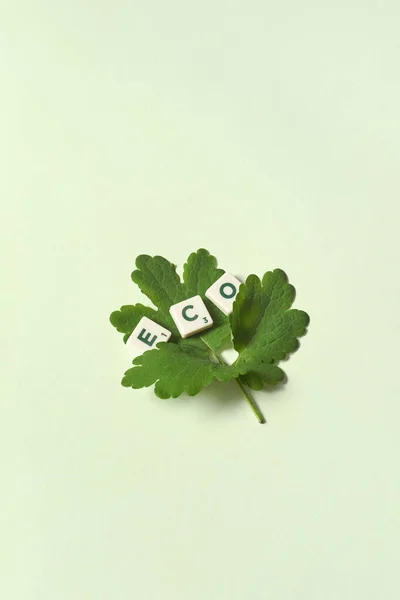 Eko Slovo Vytvořené Scrabble Dlaždic Listím Stromů Světle Zeleném Pozadí — Stock fotografie