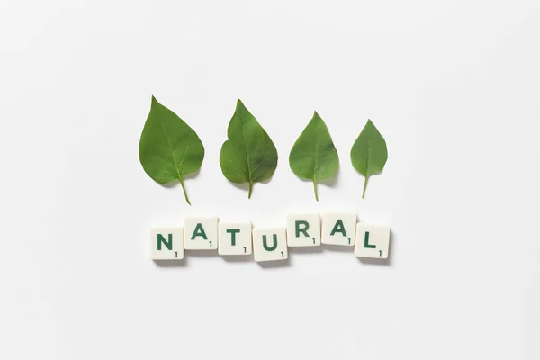 Natural Word Formed Scrabble Tiles Green Tree Leaves White Background — 스톡 사진