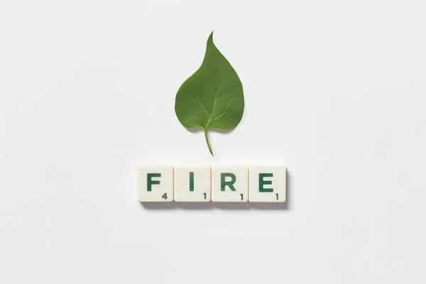 Fire Word Formed Scrabble Tiles Green Tree Leaf White Background — Foto Stock