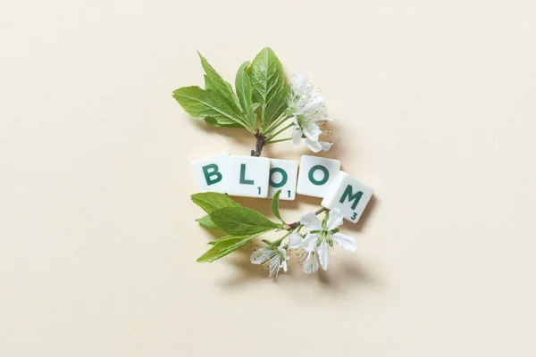 Bloom Slovo Tvořené Scrabble Dlaždice Jarní Květ Béžovém Pozadí Stock Fotografie