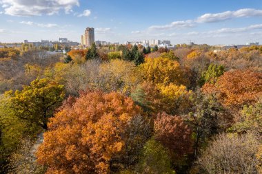 Beautiful aerial scenery of leafy trees in autumn colors with city buildings in background, Kyiv, Ukraine.