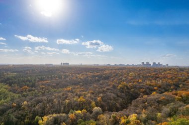 Aerial view of forest covered in autumn foliage in sunny daylight with buildings of Kyiv, Ukraine in background.