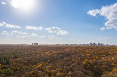 Scenic aerial view of autumnal forest in bright sunlight and city in background, Kyiv, Ukraine.