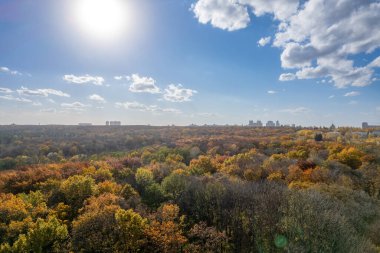 Beautiful drone scenery of park in fall season under blue sky with clouds and bright sunlight, cityscape in background, Kyiv, Ukraine.
