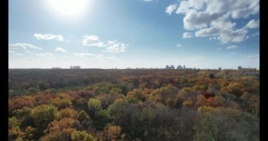 Botanical garden in Kiev in autumn from a height. 4k Video  