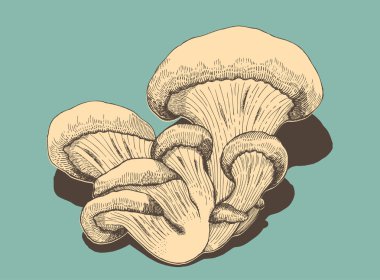 istiridye mantar retro tarzı