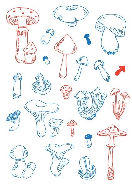 Fungus funny doodles — Stock Vector