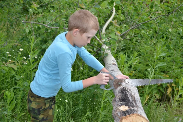 L'adolescente con un seghetto a un albero — Foto Stock