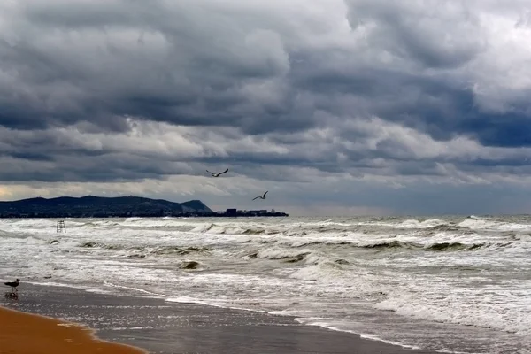 Pohled na pobřeží anapa od vityazevo — Stock fotografie