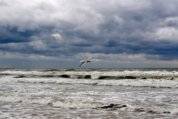 Olas en el mar en tiempo lluvioso — Foto de Stock