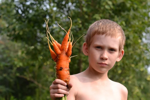 The boy with amusing carrot — Stock Photo, Image
