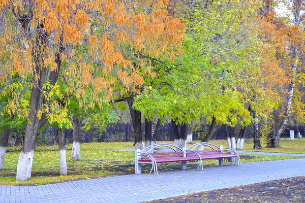 Bänkar i höst park. — Stockfoto