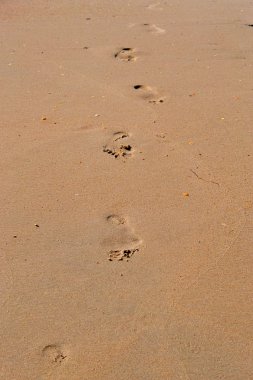 kişinin kum üzerinde çıplak ayak izi