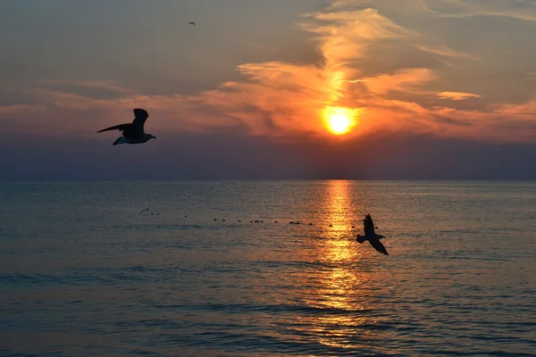 Prachtige zonsondergang boven de zee. — Stockfoto