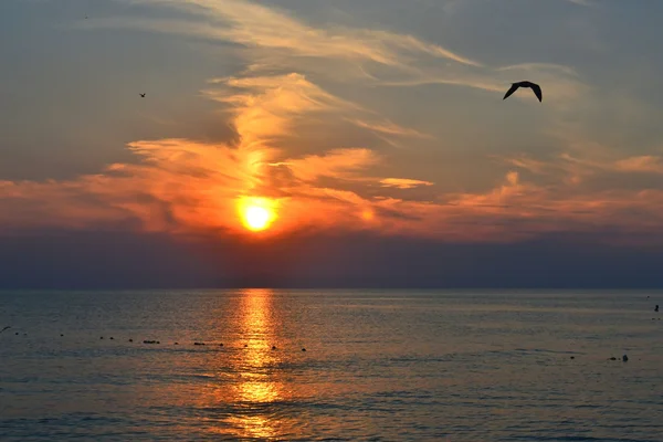 Prachtige zonsondergang boven de zee. — Stockfoto