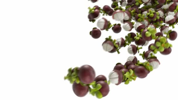 Mangosteen flow with slow motion over white — Stock Video