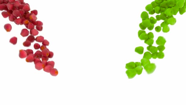 Rouge et vert Flux de pommes au ralenti sur blanc 