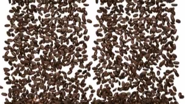 Remplissage du cadre avec des grains de café torréfiés — Video