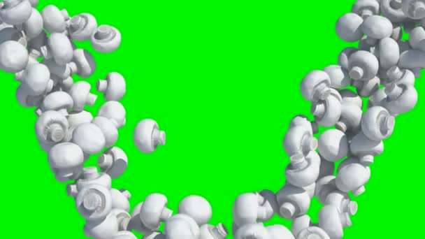 Y-förmige Champignon-Pilze fließen in Zeitlupe auf grünem Bildschirm — Stockvideo