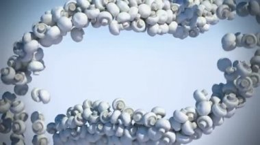yavaş hareket ile iki champignon mantar akar
