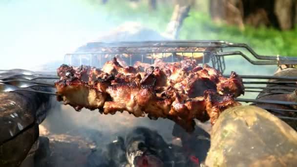 Cocción en bucle de shish kebab o shashlik al aire libre . — Vídeos de Stock